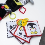 Kontrastowe karty edukacyjne dla dzieci DREAM TEAM C-MORE COLLECTION 781