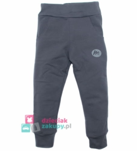 Mrofi dresowe spodnie chłopięce Sport szare