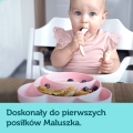 silikonowy talerzyk dla dziecka z przyssawką canpol babies 51/401 pin.jpg