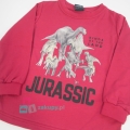 Bluzka z dinozaurem dla chłopca na długi rękaw GT Dinozaur.jpg