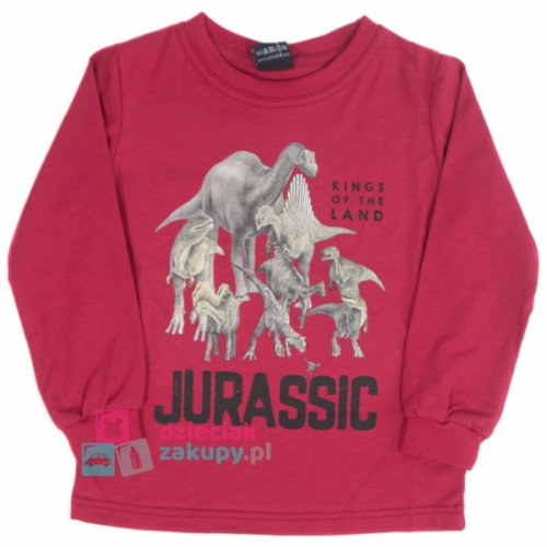 Bluzka z dinozaurem dla chłopca na długi rękaw GT Dinozaur.jpg