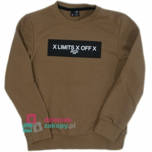 Bluza dla chłopca z nadrukiem XLIMITSXOFFX GT brązowa