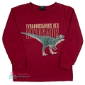 Bluzka z dinozaurem dla chłopca GT bordowa.jpg