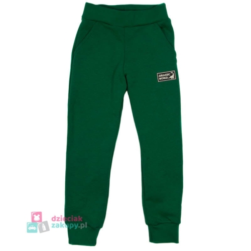 Ocieplane spodnie dla chłopca ze ściagaczami GT zielone .jpg