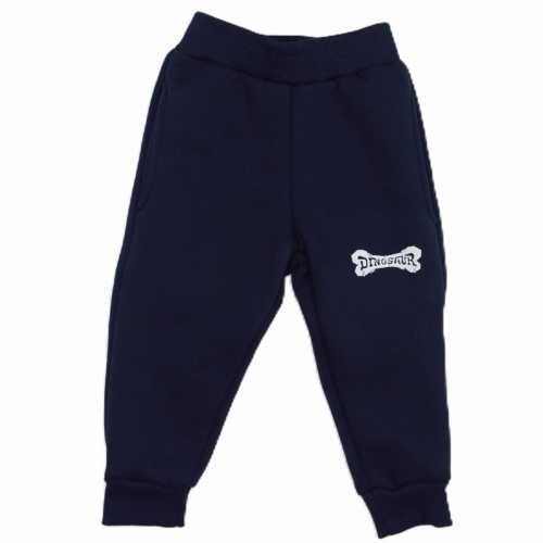 Spodnie ocieplane dla chłopca z napisem Dinozaur GT