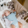Zabawka dla dzieci z pozytywką BabyOno Koala Coco 1632