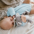 Zabawka dla dzieci z pozytywką BabyOno Koala Coco 1632