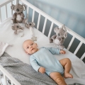 Zabawka dla dzieci z pozytywką BabyOno Koala Coco 1632