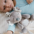 Zabawka dla dzieci z pozytywką BabyOno Koala Coco 1632
