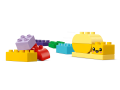 LEGO DUPLO 10444 Kreatywny ogród i kwiaty 2+
