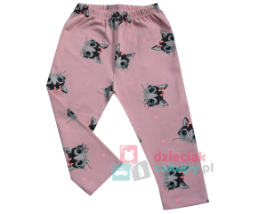 Legginsy dla niemowlaka dziewczynki kotki