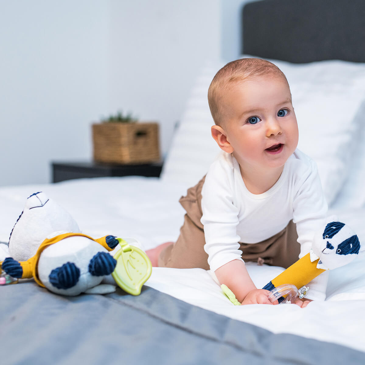 interaktywna zabawka dla niemowlaka z grzechotką babyono miś 1432